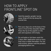 FRONTLINE Spot On Flea & Tick Treatment for Medium Dogs (10-20kg) – 6 Pipettes