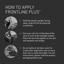FRONTLINE Plus Flea & Tick Treatment for Cats and Ferrets - 6 Pipettes | Flea, Tick & Lice Protection