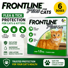FRONTLINE Plus Flea & Tick Spot Treatment for Cat & Kitten 6 doses box