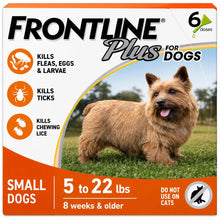 FRONTLINE Plus Flea & Tick Spot Treatment for Small Breed Dogs 5-22 lbs. (Orange) Count of 6