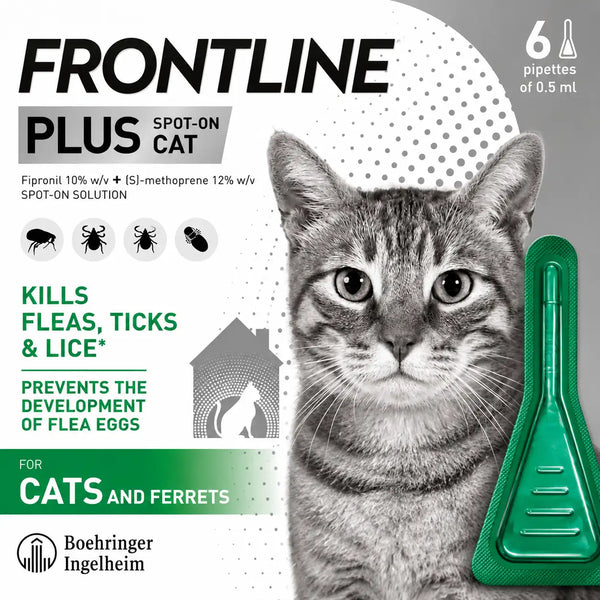 FRONTLINE Plus Flea & Tick Treatment for Cats and Ferrets - 6 Pipettes | Flea, Tick & Lice Protection