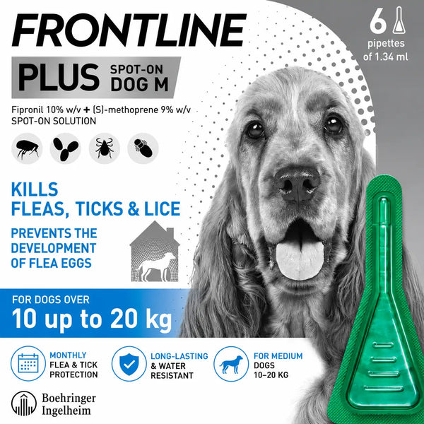 FRONTLINE Plus Flea & Tick Treatment for Medium Dogs - 6 Pipettes | Monthly Flea & Tick Protection