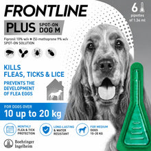 FRONTLINE Plus Flea & Tick Treatment for Medium Dogs - 6 Pipettes | Monthly Flea & Tick Protection