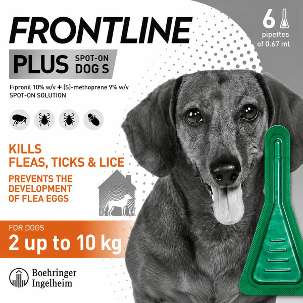 FRONTLINE Plus Flea & Tick Treatment for Small Dogs - 6 Pipettes | 2-10kg Monthly Protection