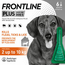 FRONTLINE Plus Flea & Tick Treatment for Small Dogs - 6 Pipettes | 2-10kg Monthly Protection