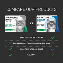 FRONTLINE Plus Flea & Tick Treatment for Cats and Ferrets - 6 Pipettes | Flea, Tick & Lice Protection