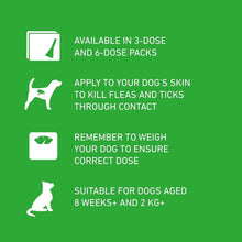 FRONTLINE Plus Flea & Tick Treatment for Medium Dogs - 6 Pipettes | Monthly Flea & Tick Protection