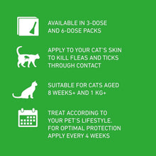 FRONTLINE Plus Flea & Tick Treatment for Cats and Ferrets - 6 Pipettes | Flea, Tick & Lice Protection