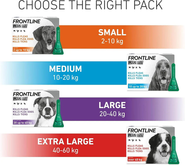 FRONTLINE Plus Flea & Tick Treatment for Small Dogs - 6 Pipettes | 2-10kg Monthly Protection