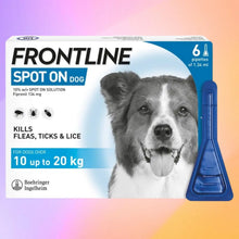 FRONTLINE Spot On Flea & Tick Treatment for Medium Dogs (10-20kg) – 6 Pipettes