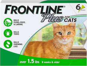 Monthly flea and tick treatment for cats and kittens