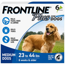 Frontline Plus for Dogs Medium Dog (23-44 Pounds) Flea and Tick Treatment, 6 Doses