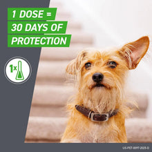 Frontline Plus for Dogs Medium Dog (23-44 Pounds) Flea and Tick Treatment, 6 Doses