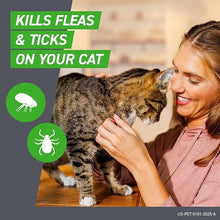 Cat flea and tick protection treatment by FRONTLINE